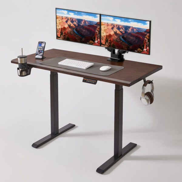 Solid Rubberwood Electric Standing Desk, Adjustable Height Sit Stand Desk with Single Motor, Ergonomic Home Office Desk with 2-Tier Legs