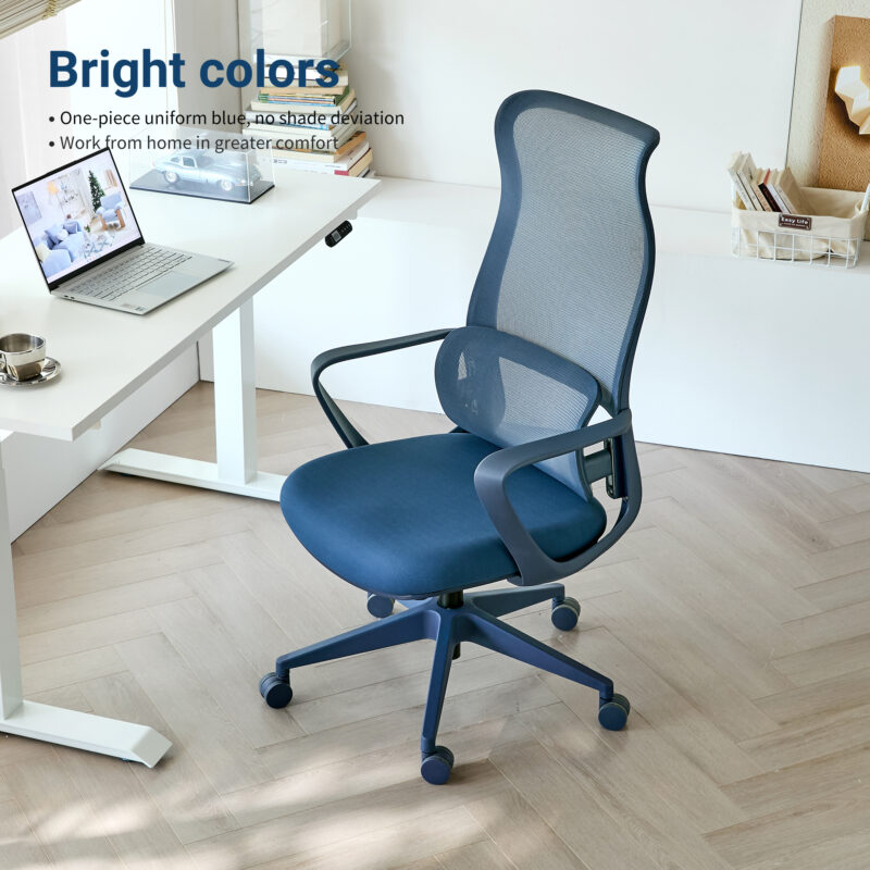 Ergonomic Colorful Office Chair 350LBS Home Office Mesh Breathable High Back, With Adjustable Lumbar Support Computer Chair, Integrated Molded Foam Seat Cushion, Fireproof - Image 22