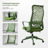 Ergonomic Colorful Office Chair 350LBS Home Office Mesh Breathable High Back, With Adjustable Lumbar Support Computer Chair, Integrated Molded Foam Seat Cushion, Fireproof - Image 17