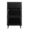 Rattan, Allen 2 door 1 drawer cabinet, shoe rack, double layer, suitable for entrance - Image 5