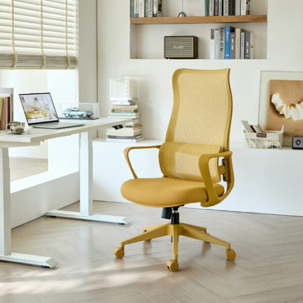 Ergonomic Colorful Office Chair 350LBS Home Office Mesh Breathable High Back, With Adjustable Lumbar Support Computer Chair, Integrated Molded Foam Seat Cushion, Fireproof