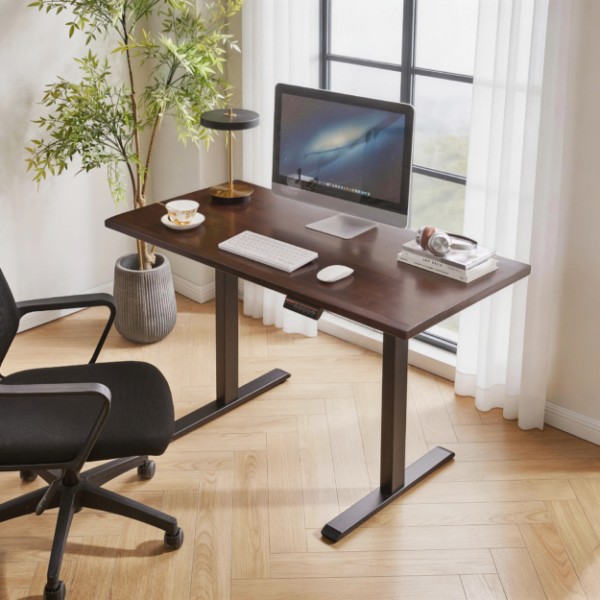 Solid Rubberwood Electric Standing Desk, Adjustable Height Sit Stand Desk with Single Motor, Ergonomic Home Office Desk with 2-Tier Legs