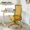 Ergonomic Colorful Office Chair 350LBS Home Office Mesh Breathable High Back, With Adjustable Lumbar Support Computer Chair, Integrated Molded Foam Seat Cushion, Fireproof - Image 4