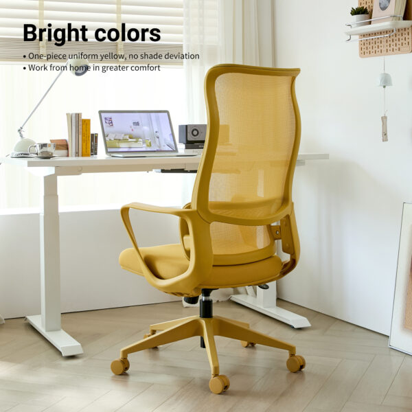 Ergonomic Colorful Office Chair 350LBS Home Office Mesh Breathable High Back, With Adjustable Lumbar Support Computer Chair, Integrated Molded Foam Seat Cushion, Fireproof